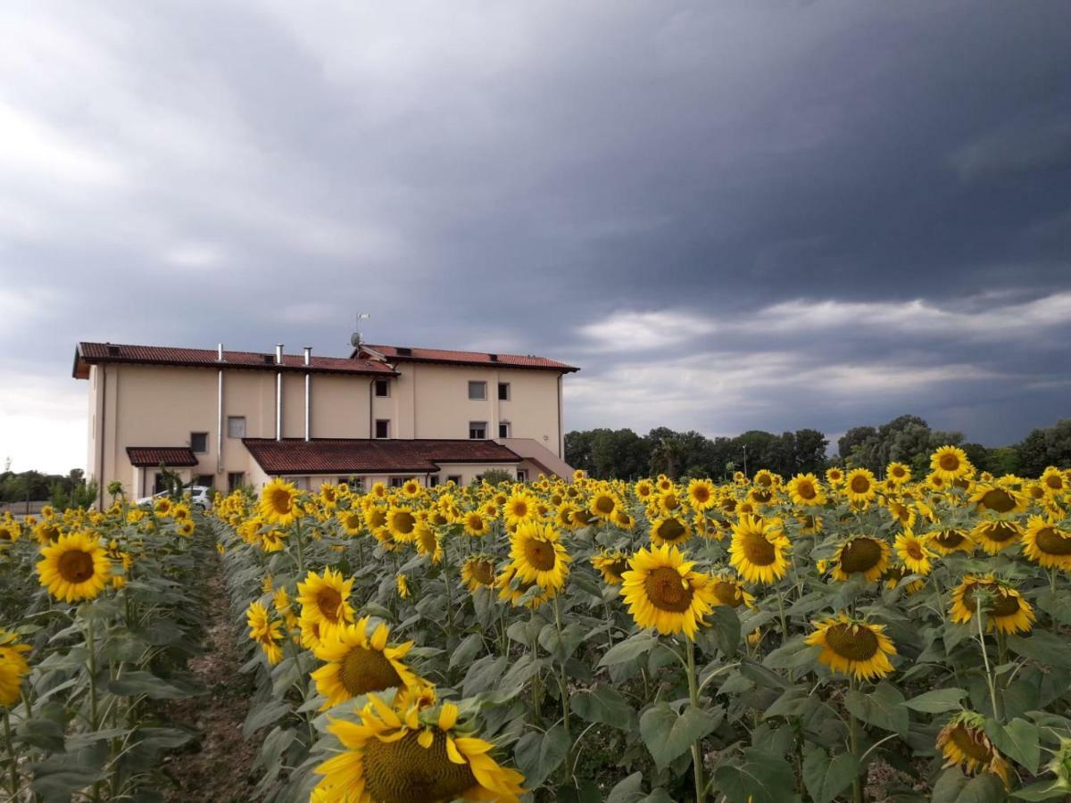 Villa Al Cavaliere Pordenone Zimmer foto