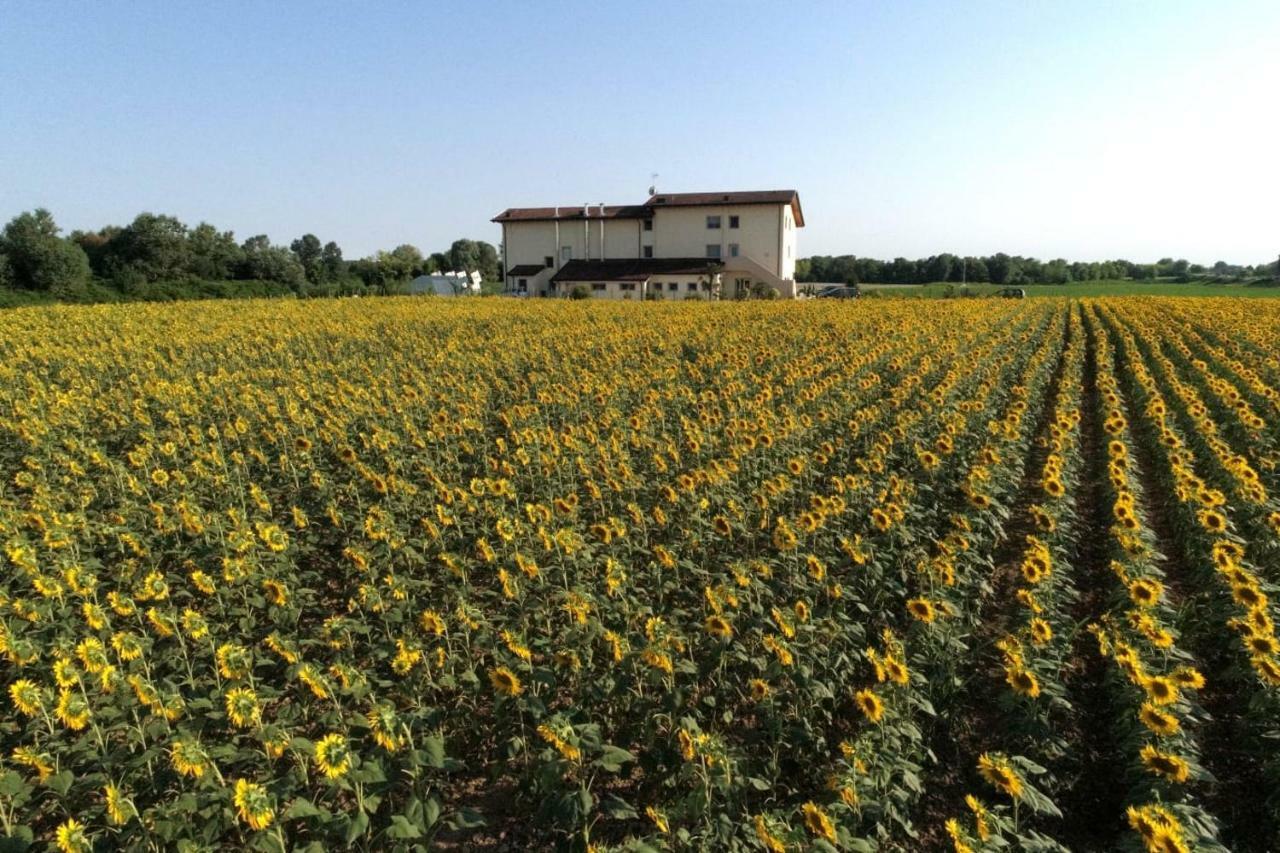 Villa Al Cavaliere Pordenone Exterior foto